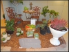 DSC06321.JPG