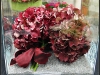 DSC06328.JPG