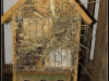 DSC06331.JPG