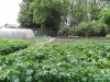 P7050383.JPG