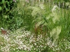 P6240229 (Medium).JPG