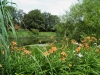 P6240237 (Medium).JPG