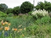 P6240238 (Medium).JPG