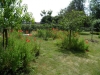 P6240246 (Medium).JPG