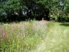 P6240251 (Medium).JPG