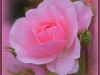 DSC_0018.JPG