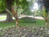 20150530_151335.jpg