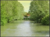 DSC05650.JPG