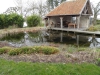 snoeidemonstratie tuin Armand en Lieve